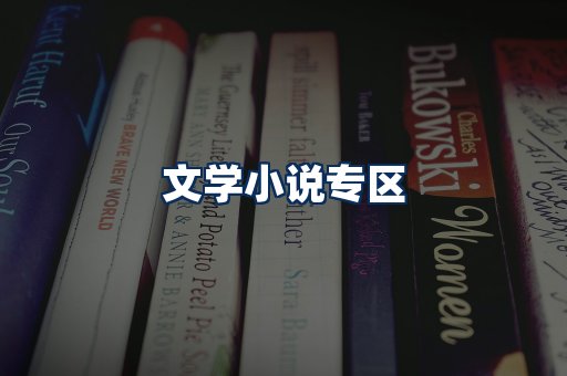 文学小说PDF展示